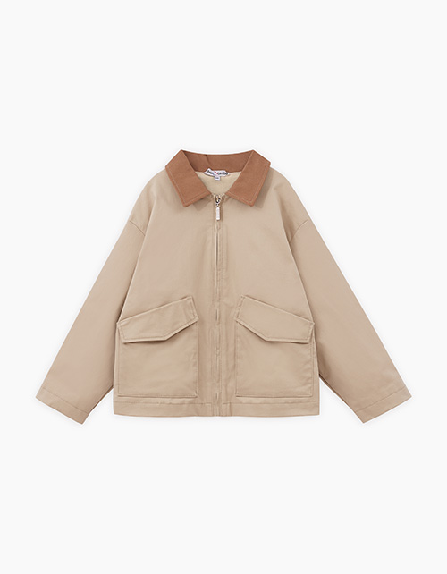 Вид спереди